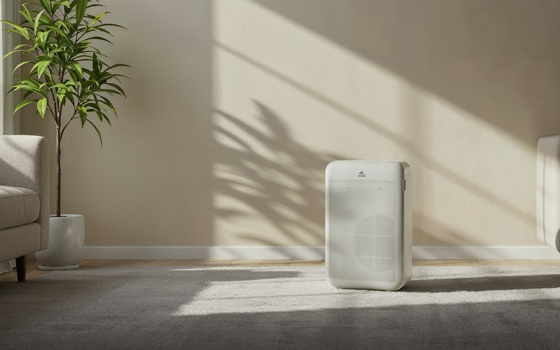 Did You Know That Dirty Air Purifiers Can Do You More Harm?
